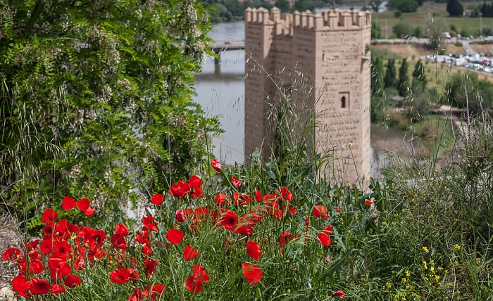 Toledo Centro Histórico: Mohnblumen Puerta de Alcántara Río Tajo