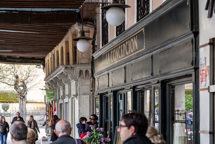 Centro Histórico: Plaza Mayor Segovia