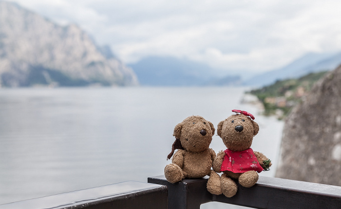 Malcesine Skaligerburg (Castello Scaligero): Teddy und Teddine