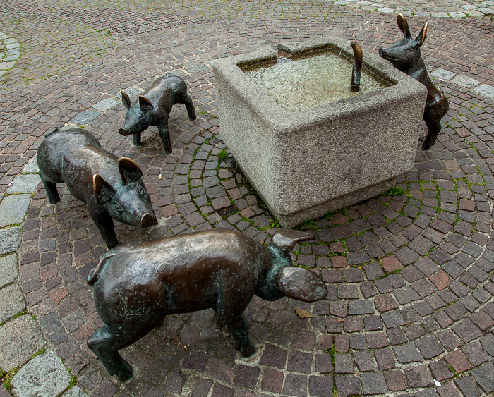 Altstadt: Viehmarkt - Schweindl-Brunnen (von Manfred Raumberger) Amberg