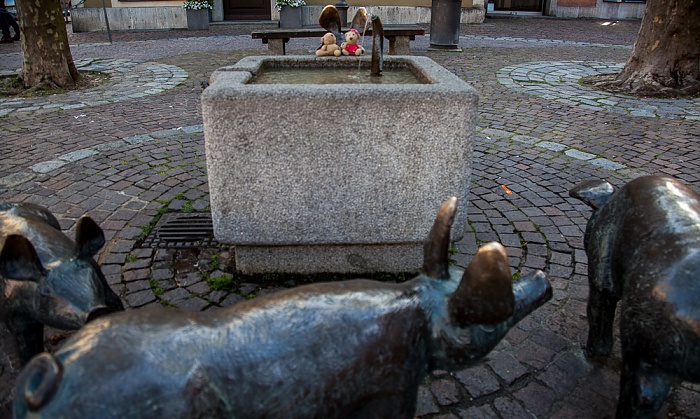 Amberg Altstadt: Viehmarkt - Schweindl-Brunnen (von Manfred Raumberger)