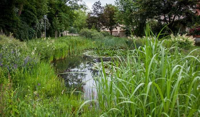 Altstadt: Englischer Garten Amberg