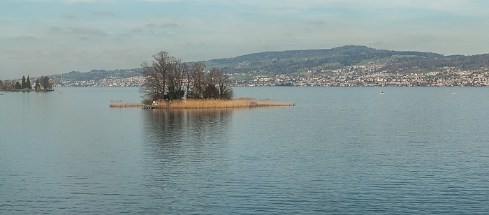 Zürichsee Insel Schönenwerd