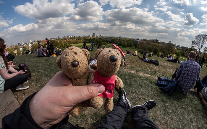 London Primrose Hill: Teddy und Teddine