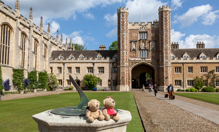 Cambridge Trinity College: Trinity Great Court - Teddy und Teddine