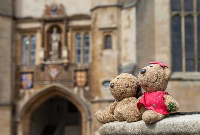 Cambridge Trinity College: Trinity Great Court - Teddy und Teddine
