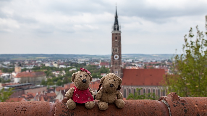 Landshut Burg Trausnitz: Teddine und Teddy Martinskirche