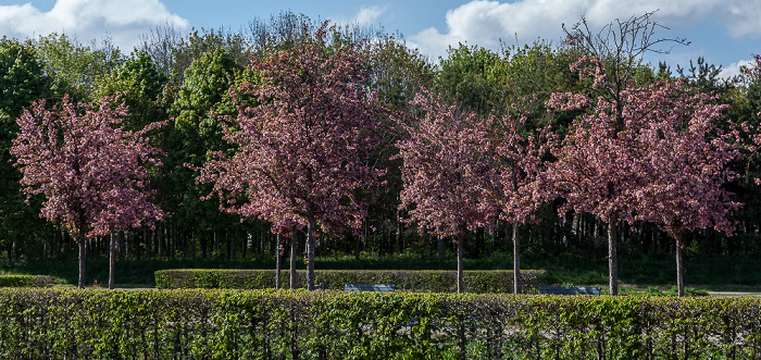München Riemer Park (Landschaftspark Riem, BUGA-Park)