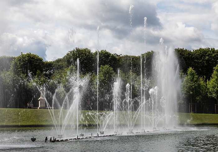 Parc de Versailles: Jardin de Versailles - Bassin du Miroir