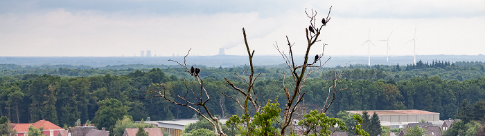 Bad Bentheim Blick von der Burg Bentheim