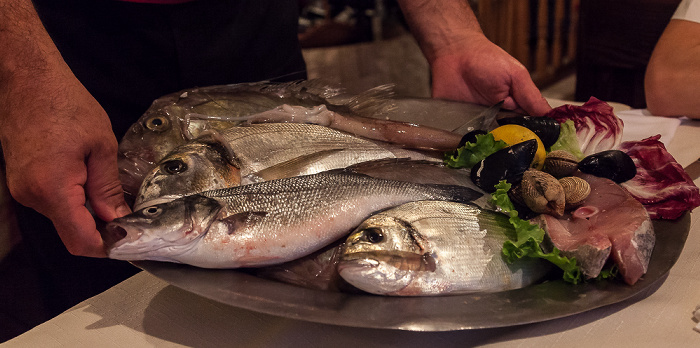 Split Frischer Fisch