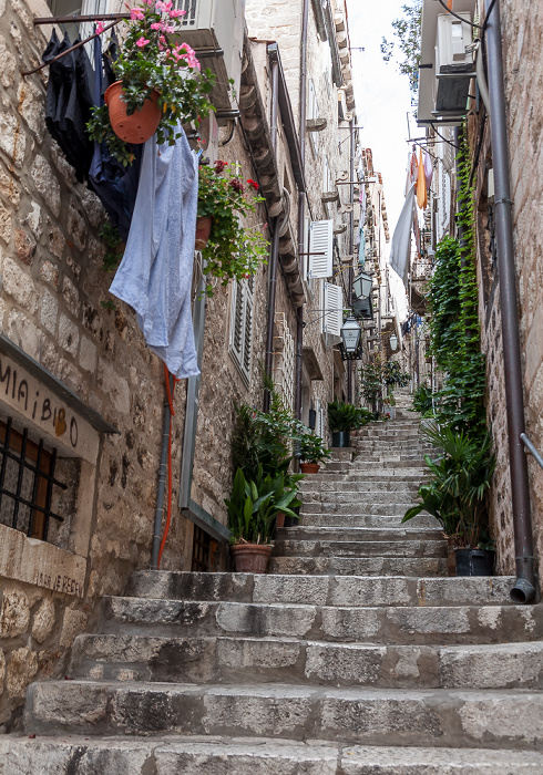 Dubrovnik Altstadt (Grad): Prijeko ulica