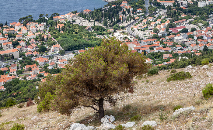 Dubrovnik Blick vom Brdo Srđ