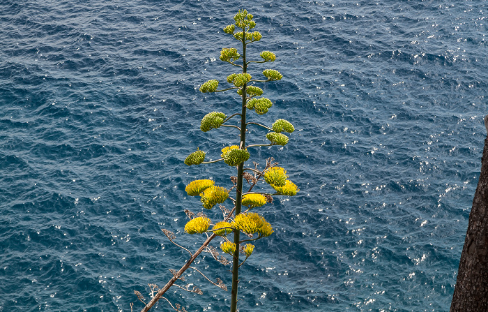 Blick von der Ulica branitelja Dubrovnika: Adriatisches Meer (Mittelmeer)