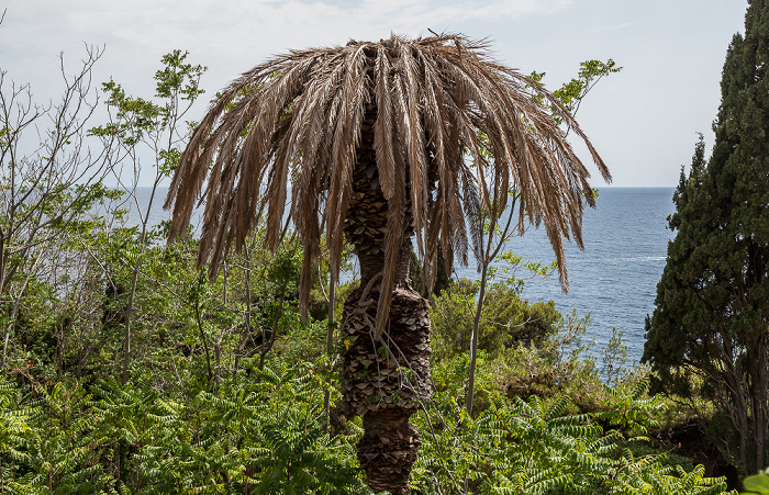 Blick von der Ulica branitelja Dubrovnika: Adriatisches Meer (Mittelmeer)