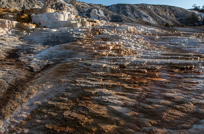Yellowstone National Park Mammoth Hot Springs: Lower Terraces Area
