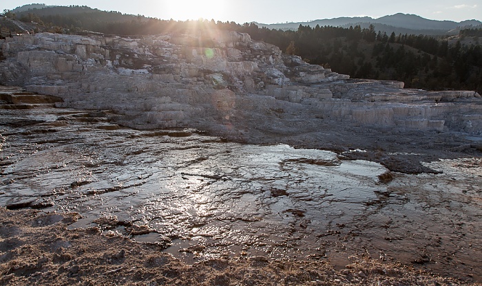Mammoth Hot Springs: Lower Terraces Area Yellowstone National Park