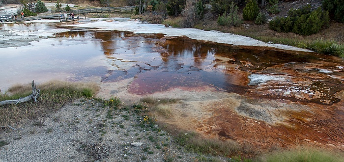 Yellowstone National Park Mammoth Hot Springs: Main Terraces Area