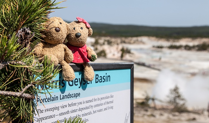 Yellowstone National Park Norris Geyser Basin: Porcelain Basin - Teddy und Teddine