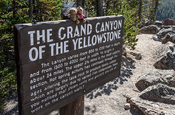 Yellowstone National Park Grand Canyon of the Yellowstone: Teddy und Teddine