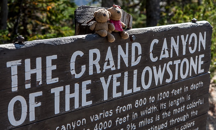 Yellowstone National Park Grand Canyon of the Yellowstone: Teddy und Teddine