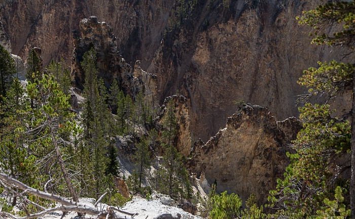 Grand Canyon of the Yellowstone Yellowstone National Park
