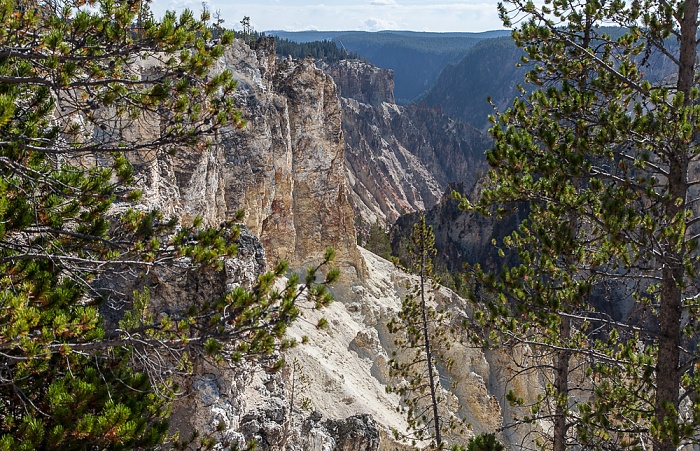 Yellowstone National Park Grand Canyon of the Yellowstone
