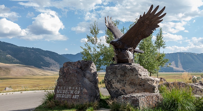 Jackson National Museum of Wildlife Art: Presidential Eagle (von Sandy Scott) Jackson Hole