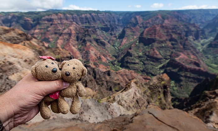 Waimea Canyon State Park Waimea Canyon Lookout: Waimea Canyon - Teddine und Teddy