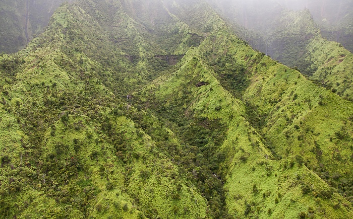 Blick aus dem Hubschrauber: Halelea Forest Reserve Kauai