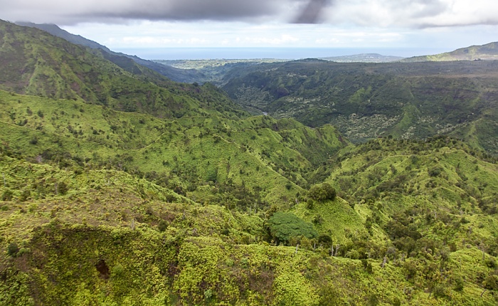 Blick aus dem Hubschrauber: Halelea Forest Reserve Kauai
