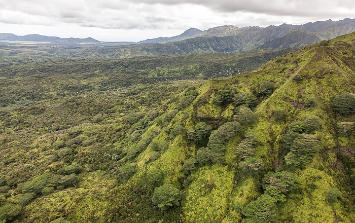 Kauai Blick aus dem Hubschrauber: Wailua Valley Luftbild aerial photo