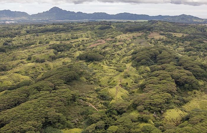 Kauai Blick aus dem Hubschrauber: Lihue-Koloa Forest Reserve Luftbild aerial photo