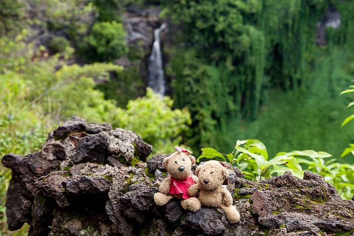 Haleakala National Park Kipahulu Section: Pipiwai Trail - Seven Sacred Pools at Ohe'o: Teddine und Teddy