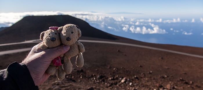 Haleakala National Park Red Hill (Pu'u 'Ula'ula): Teddine und Teddy