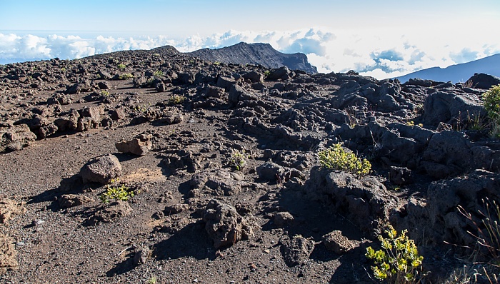 Haleakala National Park Haleakala Crater (East Maui Volcano)