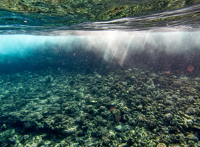 Molokini Alalakeiki Channel (Pazifik)