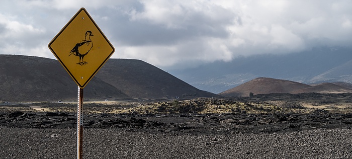 Saddle Road (State Route 200), Lavafelder des Mauna Loa Big Island
