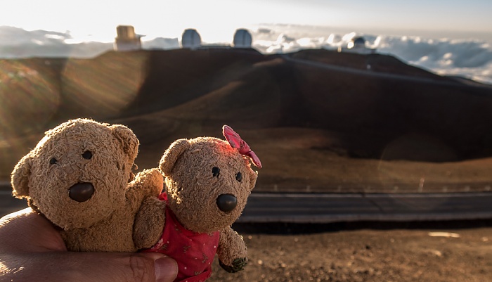 Mauna Kea Mauna-Kea-Observatorium: Teddy und Teddine