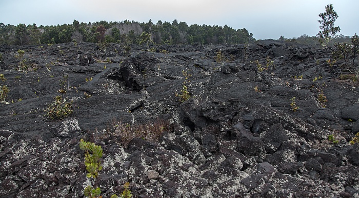 Hawaii Volcanoes National Park Chain of Craters Road: Lavafelder
