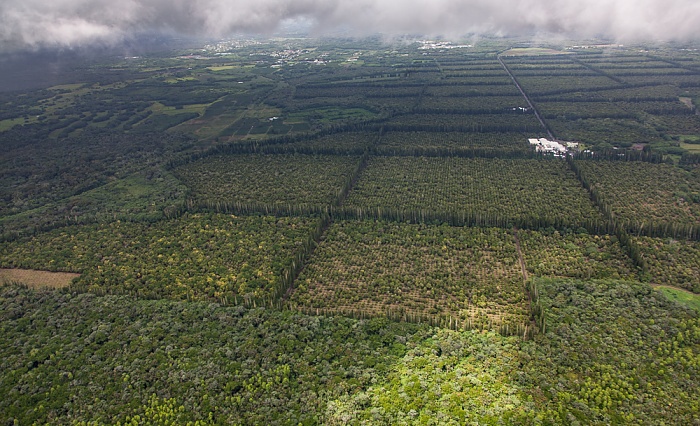 Blick aus dem Hubschrauber: Plantagen der Mauna Loa Macadamia Nut Corporation Big Island