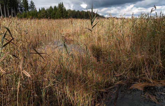 Osterseen Großer Ostersee