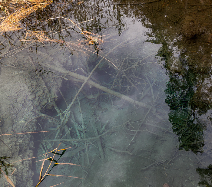 Osterseen Großer Ostersee: Quelltrichter am Südende