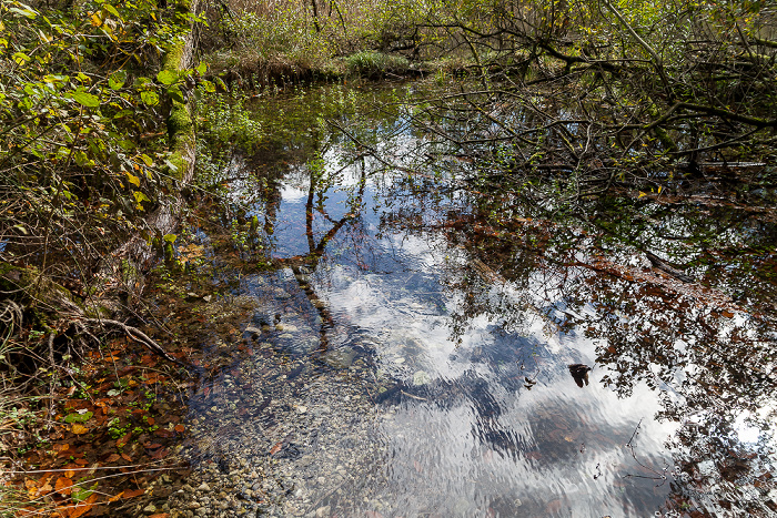 Osterseen Kindsbrünndl (Quelle des Lustsees)