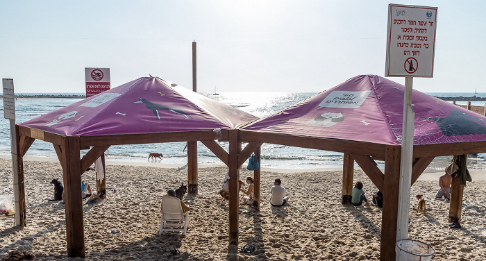Tel Aviv Atzmaut Beach (Hilton Beach), Mittelmeer