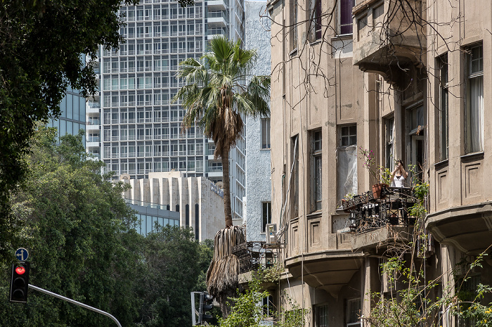 Rothschild Boulevard (Sderot Rotshild) Tel Aviv