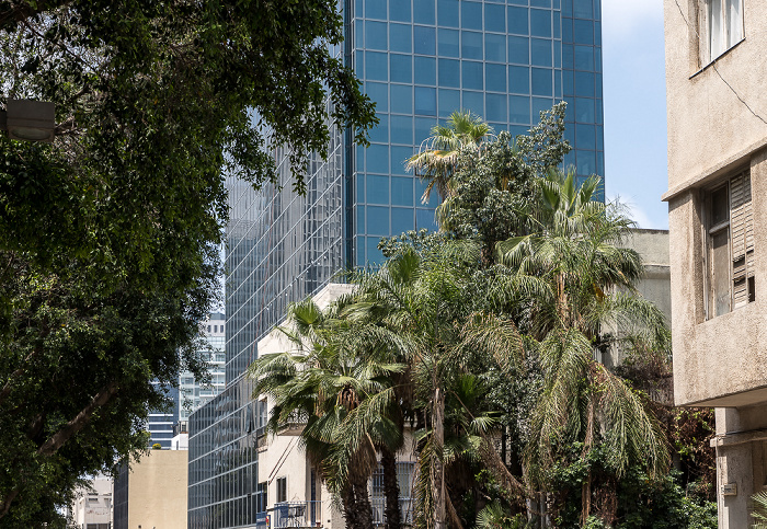 Rothschild Boulevard (Sderot Rotshild) (Weiße Stadt, Bauhausarchitektur) Tel Aviv