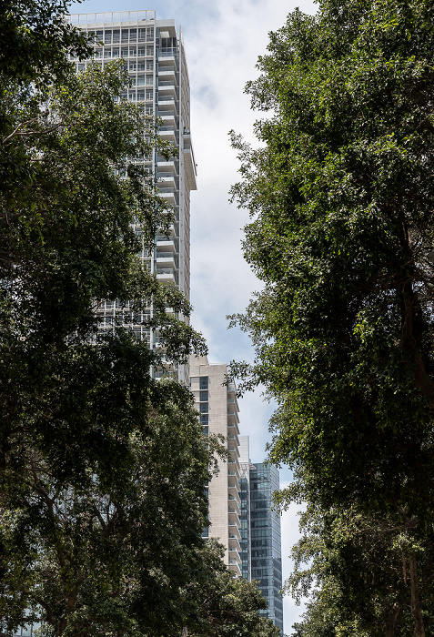 Rothschild Boulevard (Sderot Rotshild) Tel Aviv