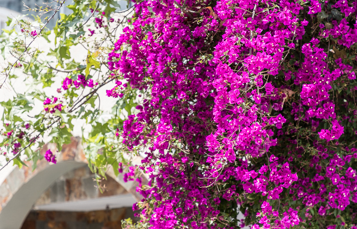 Neve Tzedek Tel Aviv