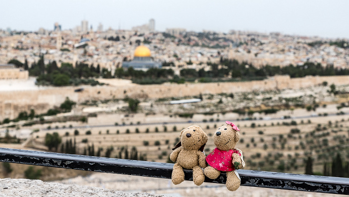Jerusalem Ölberg: Teddy, Teddine Altstadt Kidrontal Tempelberg